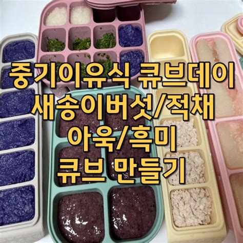 중기이유식 베이비무브로 만든 흑미 새송이버섯 적채 아욱 큐브 네이버 블로그