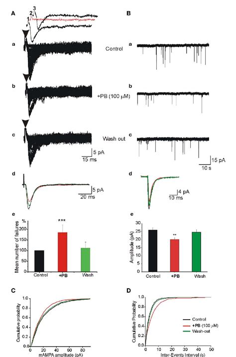 Figure 1 From Cellular Neuroscience Original Research Article