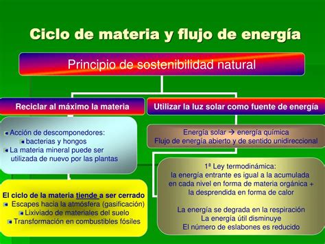 Ppt Circulaci N De Materia Y Energ A En La Biosfera Powerpoint