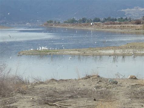 Lake Elsinore Fishing Report: Catch Wipers, Bass & Cats - Best Fishing in America