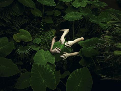 Nude Swimmers Win Moran Contemporary Photographic Prize The Advertiser