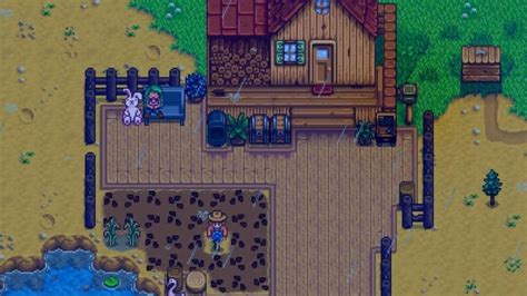 Meilleures Id Es D Am Nagement De Ferme Stardew Valley