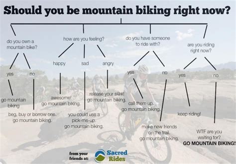 mountain biking   mountain biking bike humor