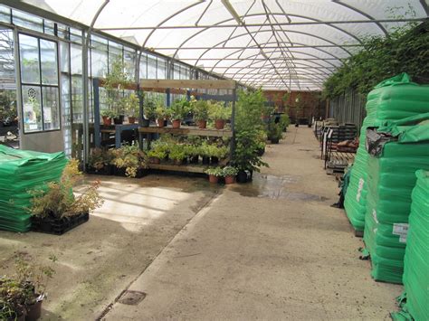 The Last Few Plants The Final Day Of Trading At Manor Nurs Flickr