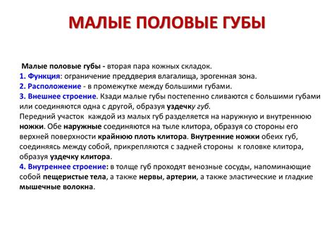 Женская половая система - online presentation
