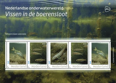 Onderwaterwereld