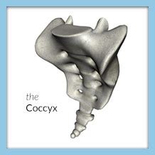 Coccygectomy for Tailbone Pain | Orthopedic & Laser Spine Surgery