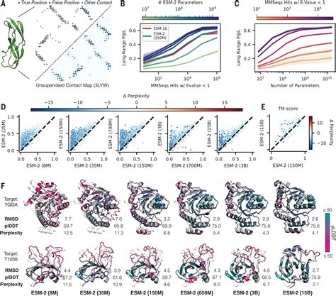 Predicting Protein Folding From Single Sequences With Meta Ai Esm