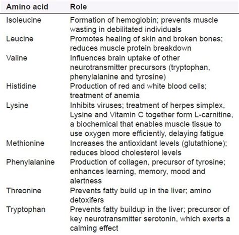 Amino Acids: Types, Functions, Sources, And Differences, 51% OFF