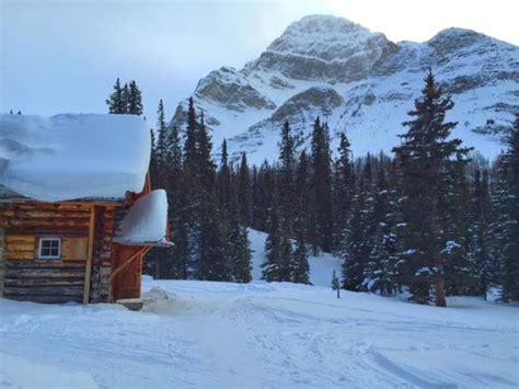 Backcountry Ski Lodges In Western Canada 10adventures