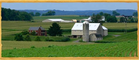 Kreider Family Farms | Furmano's