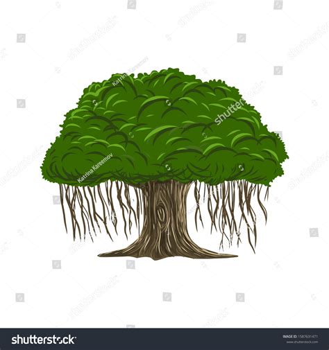 Tree Vector Illustration Roots Banyan Tree Stock Vector (Royalty Free ...