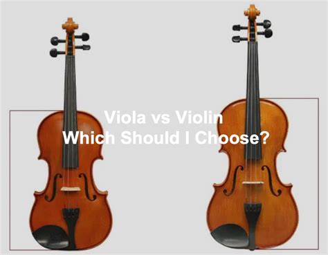 Viola Vs Violin Which Should I Choose