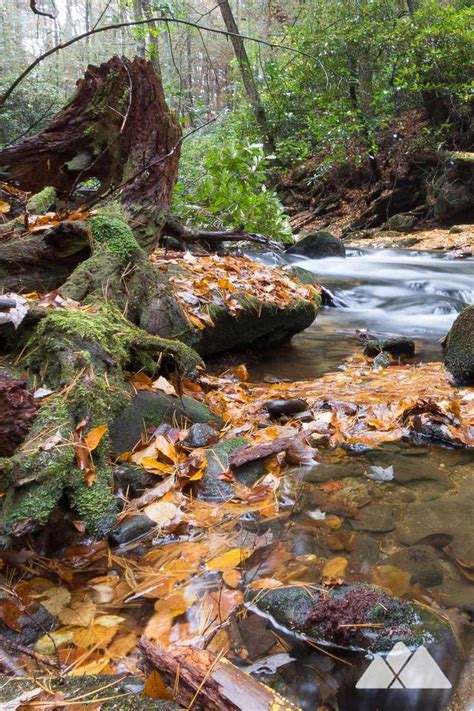 Three Forks Camping At The Appalachian Trail Atlanta Trails