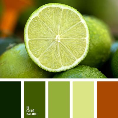 цвет зеленого яблока | IN COLOR BALANCE