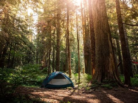 Camping in the West Coast: Best Places in the USA