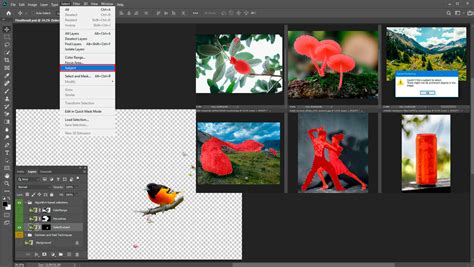 Top Tips On Selecting And Removing Unwanted Objects In Photoshop Psd Vault