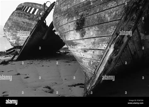 Two Wooden Shipwrecks Lying On The Side And Deteriotate In The Harbour