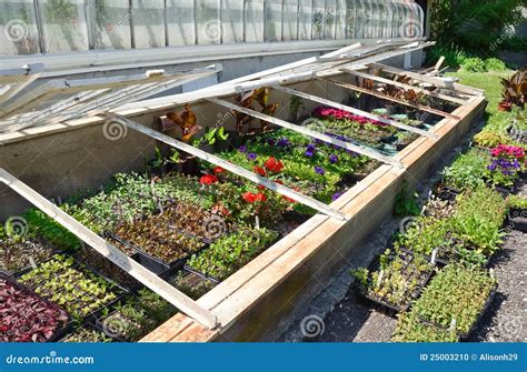 Garden Frames stock photo. Image of green, cultivation - 25003210