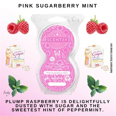 Pink Sugarberry Mint Scentsy Pod Twin Pack The Candle Boutique