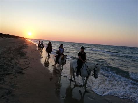 Puglia Gita A Cavallo Nel Parco Dune Costiere GetYourGuide