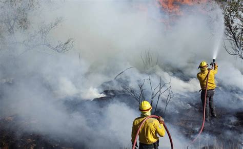 Sofocan Cuatro Incendios Forestales En Puebla