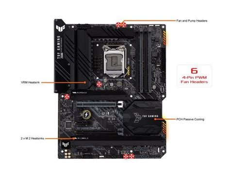 Asus PRIME H810M A WIFI CSM Vs TUF GAMING Z590 PLUS Motherboard