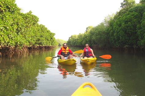 Kayaking In Goa