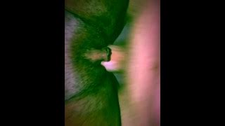 Maisy Gonzales S Porn Videos Pornhub