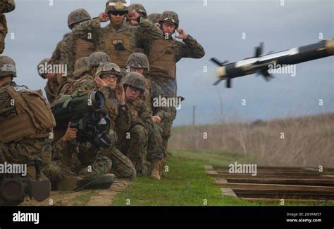 U S Marines With Charlie Company Infantry Training Battalion School