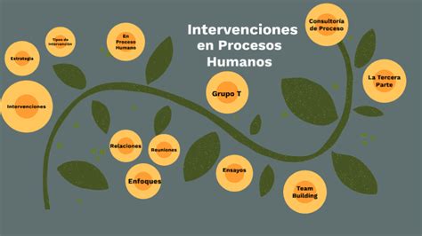 Intervenciones En Procesos Humanos By Jerlin Huertas On Prezi