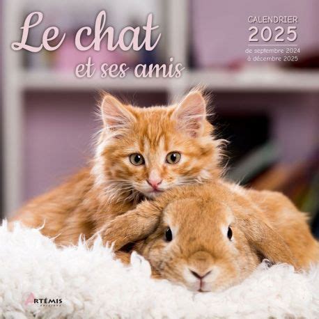 PERIODIQUE CALENDRIER LE CHAT ET SES AMIS 2025 Cartotheque