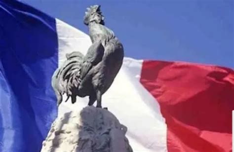 ZARKANZAR Pourquoi l emblème de la France est il le coq