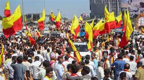 Pro-Kannada Activists Launch Citywide Protest In Bengaluru Over ...