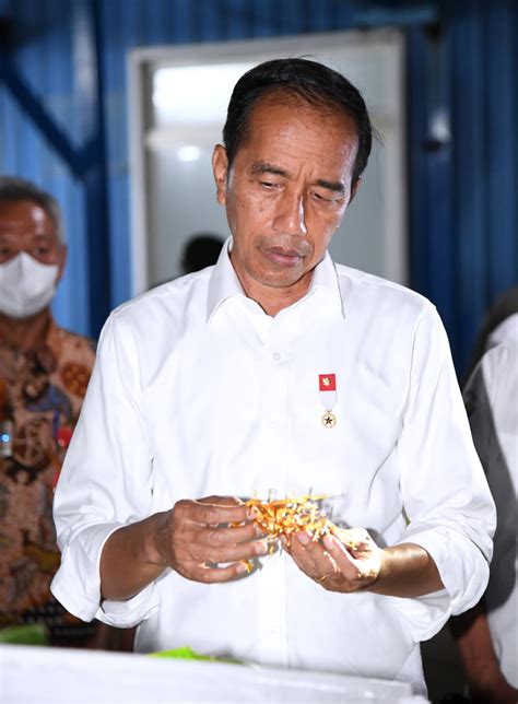 Presiden Jokowi Tinjau Unit Pengolahan Ikan Dan Budidaya Rumput Laut Di