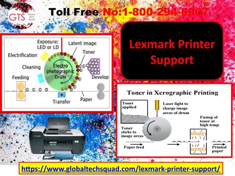 lexmark Printer Support Number *-***-***-**** | Printer, Lexmark, Supportive