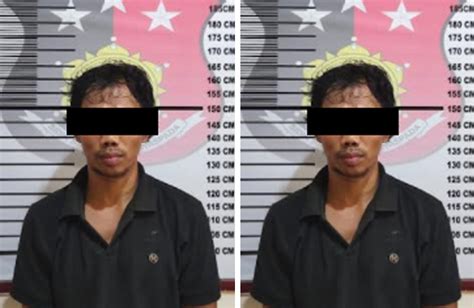 Pencuri Buah Kelapa Sawit Milik Pt Swa Ditangkap Polisi Berita Kajang