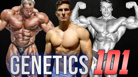 Genetics 101 By Vitruvianphysique Interesting And Informative Deep