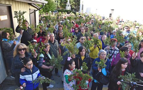 Domingo De Ramos Abre La Semana Santa La Prensa Austral