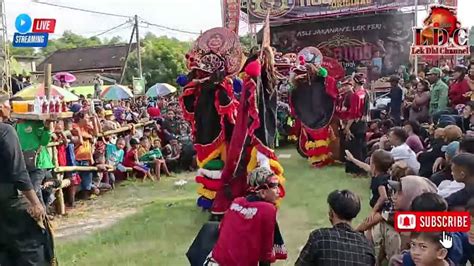 Rogo Budoyo Original Live Jaranan Hari Ini Di Ds Bukur Kec Patianrowo