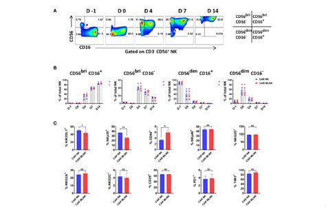 Phenotypic Analysis Of CAR Engineered Memory Like NK Cells A