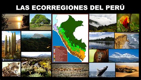 Regiones Y Ecorregiones