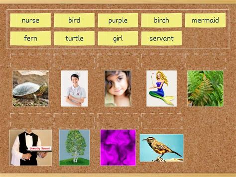 Rainbow English,2 Step 52 - Match up