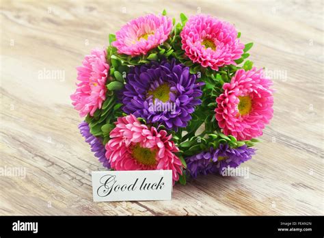 Good Luck Card With Colorful Daisy Flower Bouquet Stock Photo Alamy