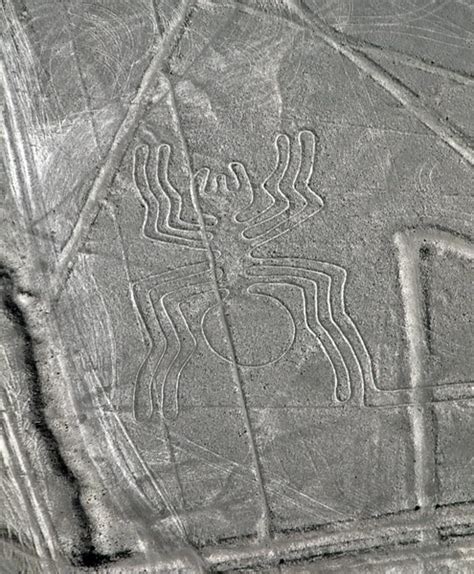 Nazca Lines - Monkey - Aerial View — Stock Photo © tr3gi #7477701