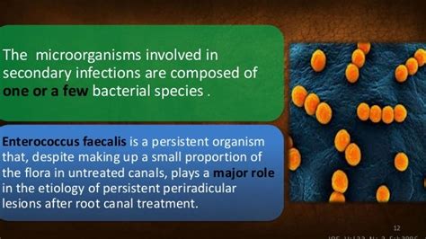 Enterococcus faecalis: Its Role in Root Canal TreatmentvFailure and C…