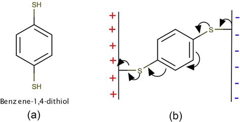 A The Molecular Structure Of Benzene 1 4 Dithiol And B A Diagram Of