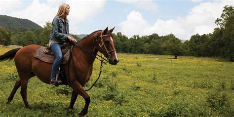 Horseback Riding in Cades Cove - cades cove