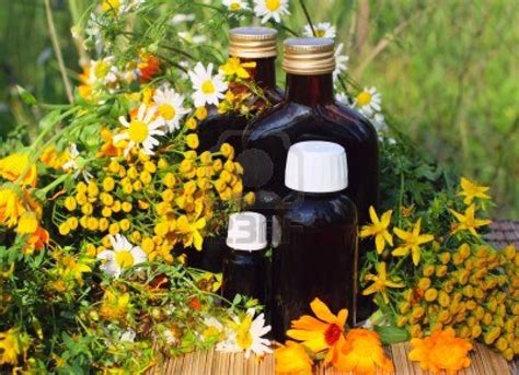 Cómo Hacer Un Aceite Medicinal Con Infusión De Hierbas Vida Lúcida