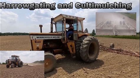 Harrowgating And Cultimulching Minneapolis Moline G And